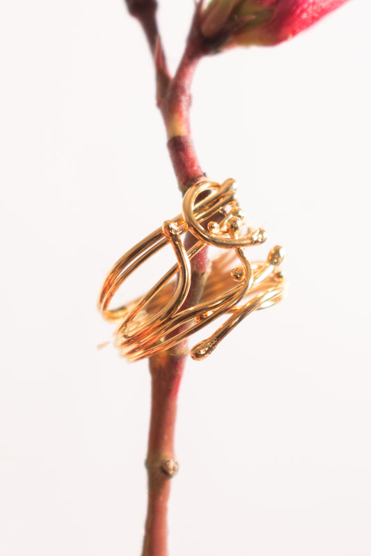 BAGUE Rhizome