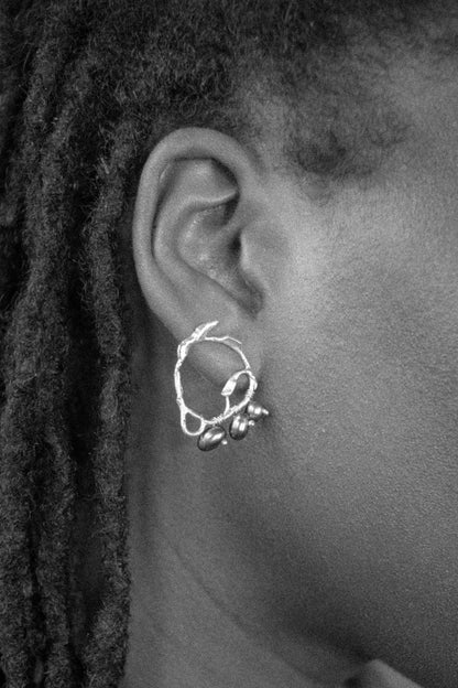 BOUCLES Essence