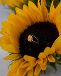 BAGUE Milot