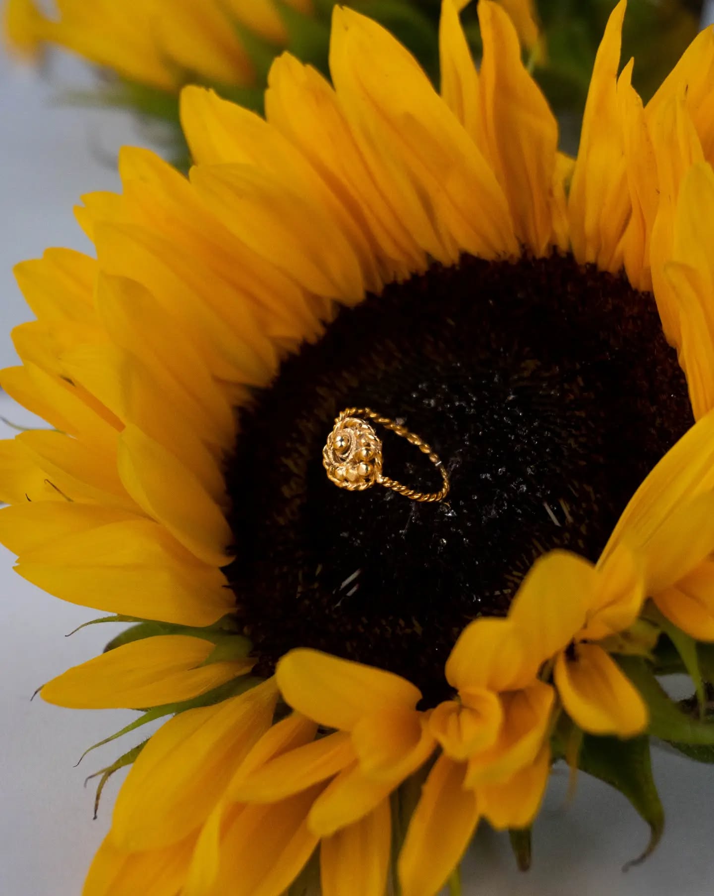 BAGUE Milot
