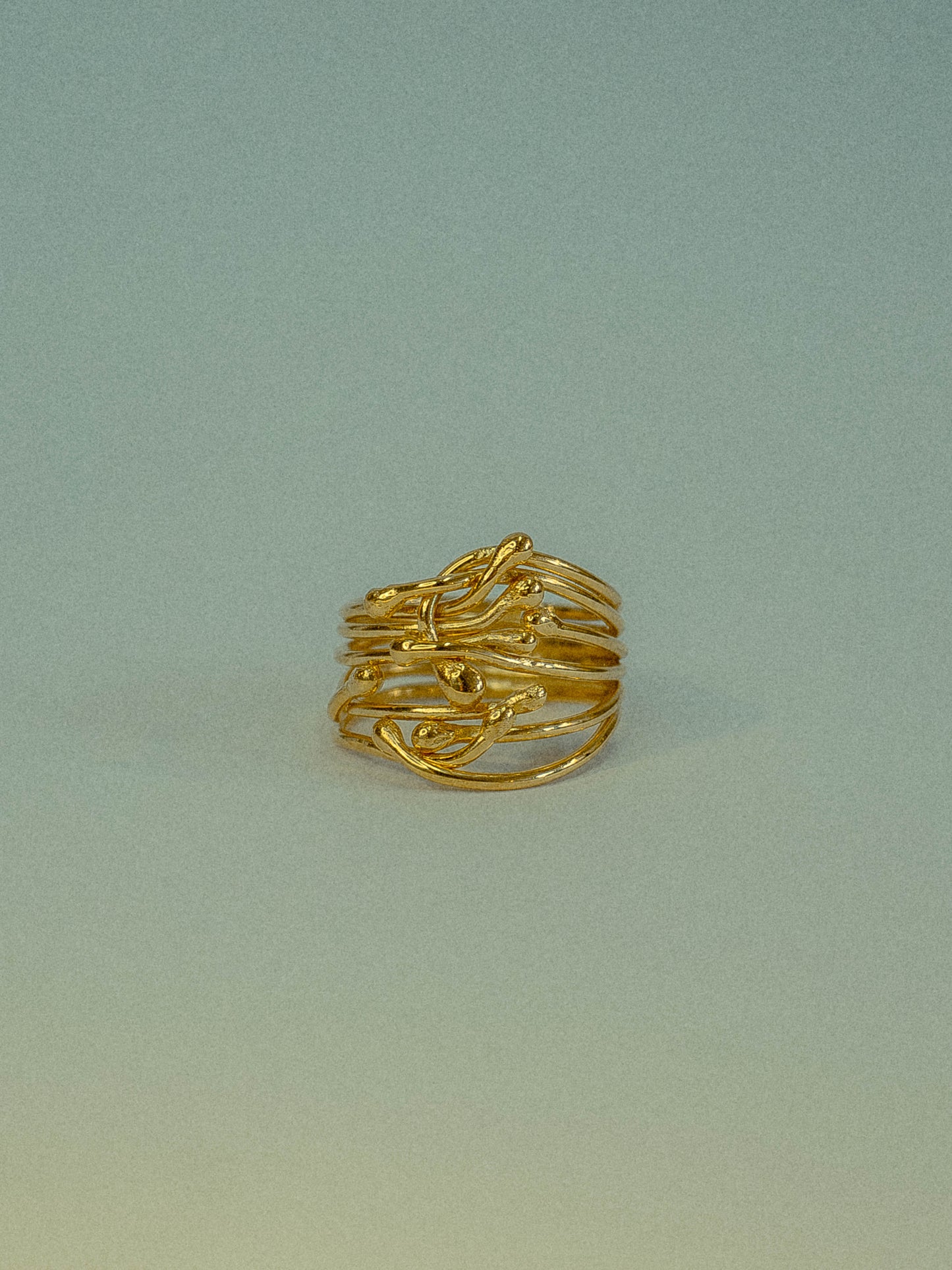 BAGUE DRAGEON 001